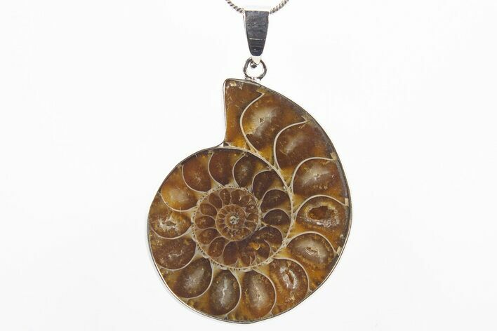 Fossil Ammonite Pendant - Million Years Old #306389